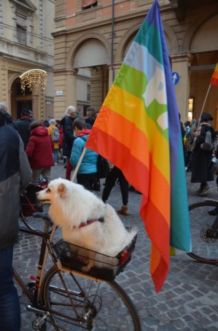 dsc_1425.jpg