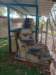 img20240615wa0011_small.jpg