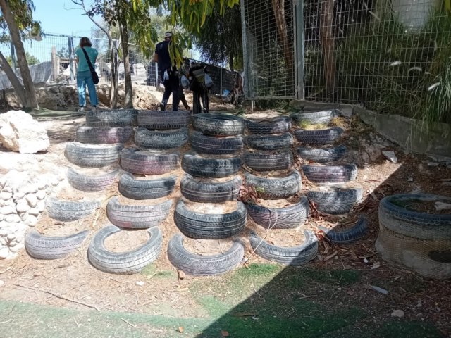 img20240615wa0012.jpg