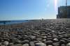 dsc_0007_small.jpg