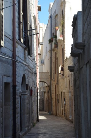 dsc_0022.jpg