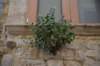dsc_0026_small.jpg