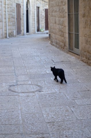 dsc_0027.jpg