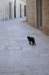 dsc_0027_small.jpg