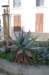 dsc_0034_small.jpg