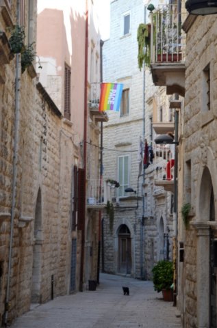 dsc_0042.jpg