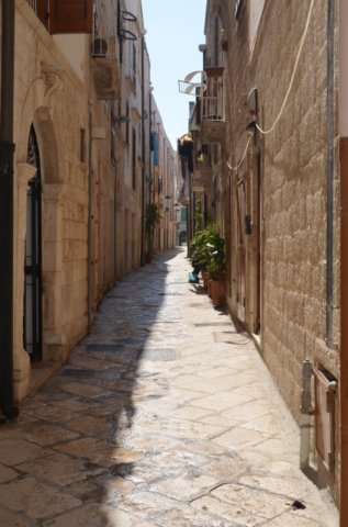 dsc_0353.jpg