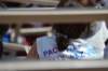dsc_0754_small.jpg