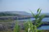 dsc_00331_small.jpg