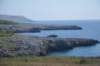 dsc_00341_small.jpg