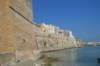 dsc_00461_small.jpg
