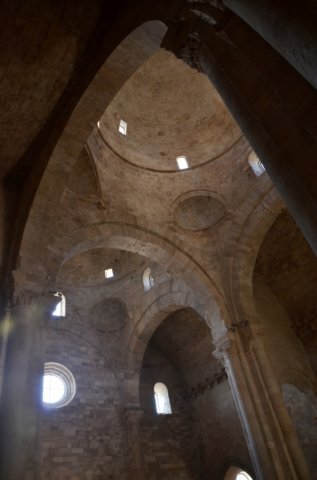 dsc_0050.jpg