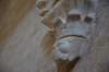 dsc_0059_small.jpg