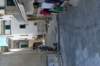dsc_00641_small.jpg