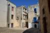 dsc_00771_small.jpg