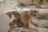 dsc_00821_small.jpg