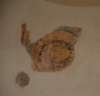 dsc_00911_small.jpg
