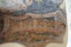 dsc_00931_small.jpg