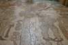 dsc_01661_small.jpg