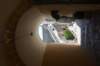 dsc_01831_small.jpg