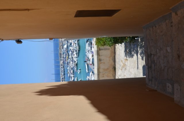 dsc_01851.jpg