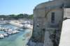 dsc_01861_small.jpg