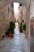 dsc_0210_small.jpg