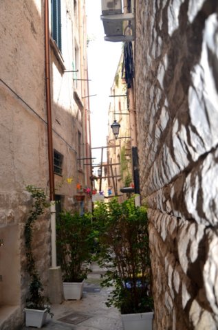 dsc_0211.jpg