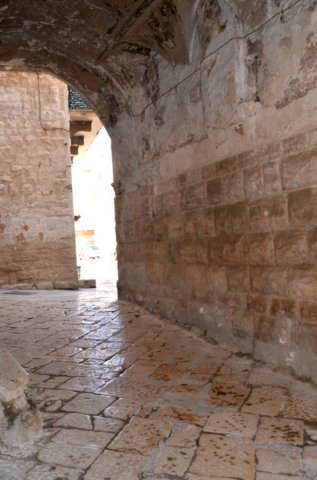 dsc_0215.jpg