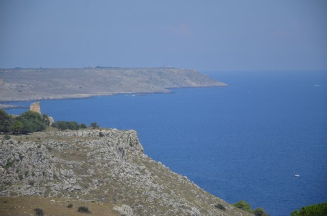 dsc_02401.jpg