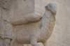 dsc_0251_small.jpg