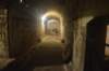 dsc_0278_small.jpg