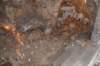 dsc_0281_small.jpg
