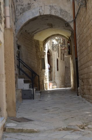 dsc_0292.jpg