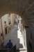 dsc_0301_small.jpg