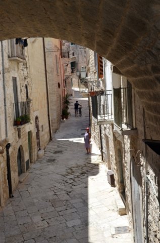 dsc_0302.jpg