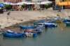 dsc_0306_small.jpg