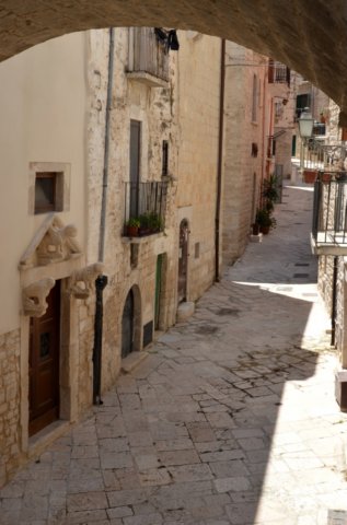 dsc_0308.jpg