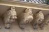 dsc_03111_small.jpg