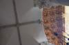 dsc_03241_small.jpg