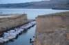 dsc_03271_small.jpg