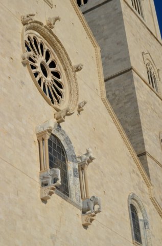 dsc_0356.jpg