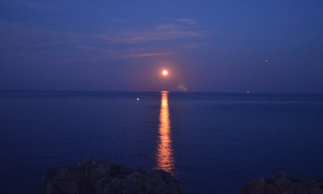 dsc_03591.jpg