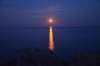 dsc_03611_small.jpg