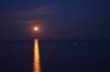 dsc_03631_small.jpg