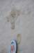 dsc_0469_small.jpg
