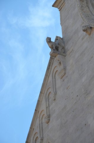 dsc_0470.jpg