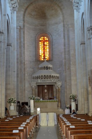 dsc_0516.jpg