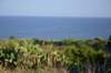 dsc_0594_small.jpg
