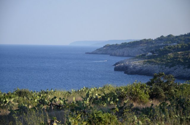 dsc_0598.jpg